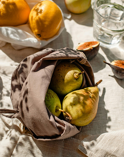 Seminare Ausbildung Ernährung
